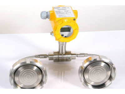 Aplisens APR-2200 ALW Smart DP transmitter with 2 Diaphragm Seals